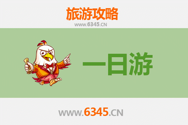 酒泉金塔自驾一日游攻略：探秘金色胡杨与丝路风情
